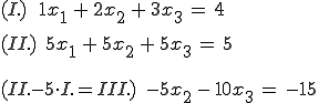 (I.)E1, (II.)E2 ... (III.) -5x2 - 10x3 = -15