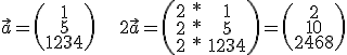 vektor a=(1_5_1234) 2*vektor a=(2*1_2*5_2*1234)=(2_10_2468)