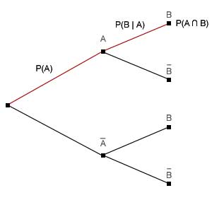 Herleitung Baumdiagramm